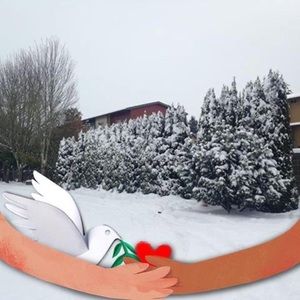 Meet your Posher, Lucas adan